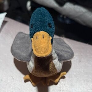 Beanie Babies Jake the Mallard Drake Duck (Rare Find)